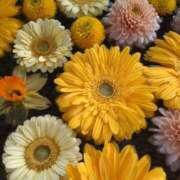 ヒメ日記 2026/02/19 22:19 投稿 なつみ 渋谷 風俗 奥様発情の会