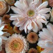 なつみ 🩷シフト追加🩷 渋谷 風俗 奥様発情の会