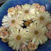 ヒメ日記 2026/03/02 19:50 投稿 なつみ 渋谷 風俗 奥様発情の会