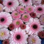 ヒメ日記 2026/03/03 19:56 投稿 なつみ 渋谷 風俗 奥様発情の会