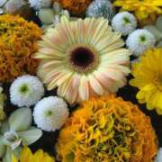 ヒメ日記 2026/03/07 18:22 投稿 なつみ 渋谷 風俗 奥様発情の会