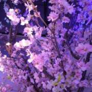 ヒメ日記 2026/03/15 13:10 投稿 なつみ 渋谷 風俗 奥様発情の会