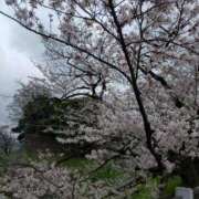 ヒメ日記 2026/04/01 11:23 投稿 なつみ 渋谷 風俗 奥様発情の会