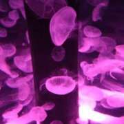 ヒメ日記 2026/04/05 18:04 投稿 なつみ 渋谷 風俗 奥様発情の会