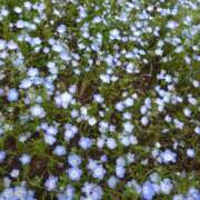 ヒメ日記 2026/04/14 17:38 投稿 なつみ 渋谷 風俗 奥様発情の会