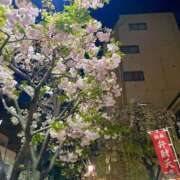 ヒメ日記 2025/04/09 12:10 投稿 ふうか New Sky