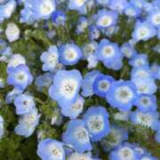 ヒメ日記 2025/04/16 21:31 投稿 ふうか New Sky