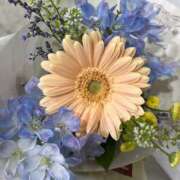 ヒメ日記 2025/04/19 21:42 投稿 ふうか New Sky