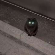 ヒメ日記 2025/05/05 21:06 投稿 ふうか New Sky