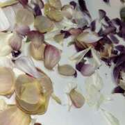 ヒメ日記 2025/05/12 18:24 投稿 ふうか New Sky