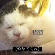 ヒメ日記 2025/05/17 14:16 投稿 ふうか New Sky