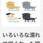 ヒメ日記 2025/05/20 21:50 投稿 ふうか New Sky