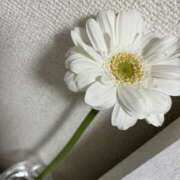 ヒメ日記 2025/06/11 16:17 投稿 ふうか New Sky