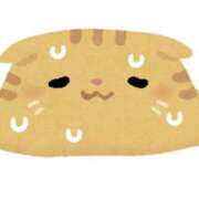 ヒメ日記 2025/07/13 06:00 投稿 ふうか New Sky