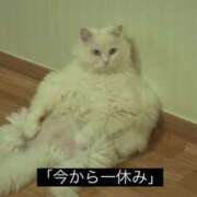 ヒメ日記 2025/08/04 23:33 投稿 ふうか New Sky