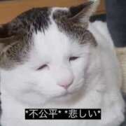 ヒメ日記 2025/08/11 08:14 投稿 ふうか New Sky