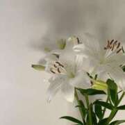 ヒメ日記 2025/08/29 01:11 投稿 ふうか New Sky