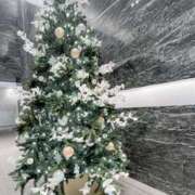 ヒメ日記 2025/11/17 04:33 投稿 ふうか New Sky