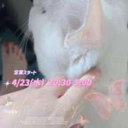 ヒメ日記 2025/04/23 17:53 投稿 ねこ 熟女の風俗最終章 八王子店