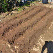 ヒメ日記 2025/04/16 21:52 投稿 あおい TSUBAKI（水戸）