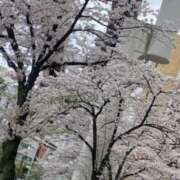 ヒメ日記 2024/04/08 18:24 投稿 川崎りん やみつきエステ千葉栄町店