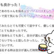 ヒメ日記 2025/04/17 15:36 投稿 あの マリン宇都宮店