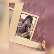 ヒメ日記 2025/04/15 12:47 投稿 天女はち MAHARAJA(マハラジャ)千葉