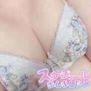 ヒメ日記 2026/06/26 07:36 投稿 ゆきみ ぽっちゃり巨乳素人専門横浜関内伊勢佐木町ちゃんこ