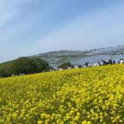 ヒメ日記 2025/05/29 21:22 投稿 あこ お姉ちゃんゴメンね