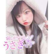 ヒメ日記 2025/01/19 05:31 投稿 ニモ マリン土浦本店