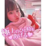 ヒメ日記 2025/01/19 10:21 投稿 ニモ マリン土浦本店