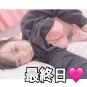 ヒメ日記 2025/03/23 06:08 投稿 ニモ マリン土浦本店