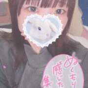 ヒメ日記 2024/12/17 16:09 投稿 ひより 久喜鷲宮ちゃんこ