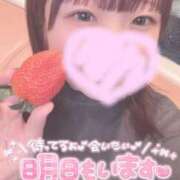 ヒメ日記 2024/12/18 20:29 投稿 ひより 久喜鷲宮ちゃんこ