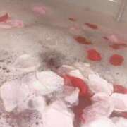 ヒメ日記 2025/03/15 08:21 投稿 ひより 久喜鷲宮ちゃんこ