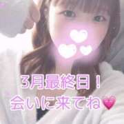 ヒメ日記 2025/03/31 15:01 投稿 ひより 久喜鷲宮ちゃんこ