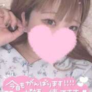 ヒメ日記 2025/07/31 17:21 投稿 ひより 久喜鷲宮ちゃんこ