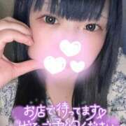 ヒメ日記 2025/09/08 14:02 投稿 ひより 久喜鷲宮ちゃんこ