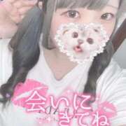 ヒメ日記 2025/09/13 08:11 投稿 ひより 久喜鷲宮ちゃんこ