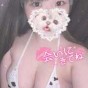 ヒメ日記 2025/09/16 17:31 投稿 ひより 久喜鷲宮ちゃんこ