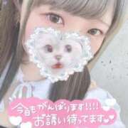 ヒメ日記 2025/09/17 17:21 投稿 ひより 久喜鷲宮ちゃんこ