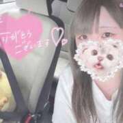 ヒメ日記 2025/09/24 22:41 投稿 ひより 久喜鷲宮ちゃんこ