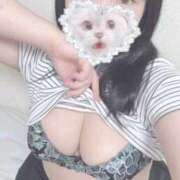 ヒメ日記 2025/10/27 22:01 投稿 ひより 久喜鷲宮ちゃんこ