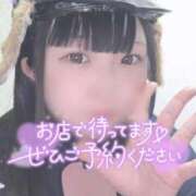 ヒメ日記 2025/11/18 18:51 投稿 ひより 久喜鷲宮ちゃんこ