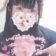 ヒメ日記 2025/11/23 13:41 投稿 ひより 久喜鷲宮ちゃんこ