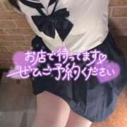 ヒメ日記 2025/11/24 14:21 投稿 ひより 久喜鷲宮ちゃんこ