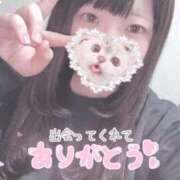 ひより 2度目まして💗 久喜鷲宮ちゃんこ