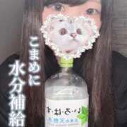 ヒメ日記 2026/04/19 18:04 投稿 ひより 久喜鷲宮ちゃんこ