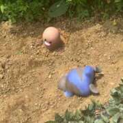 ヒメ日記 2026/06/16 20:21 投稿 ひより 久喜鷲宮ちゃんこ