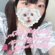 ヒメ日記 2026/06/25 16:01 投稿 ひより 久喜鷲宮ちゃんこ